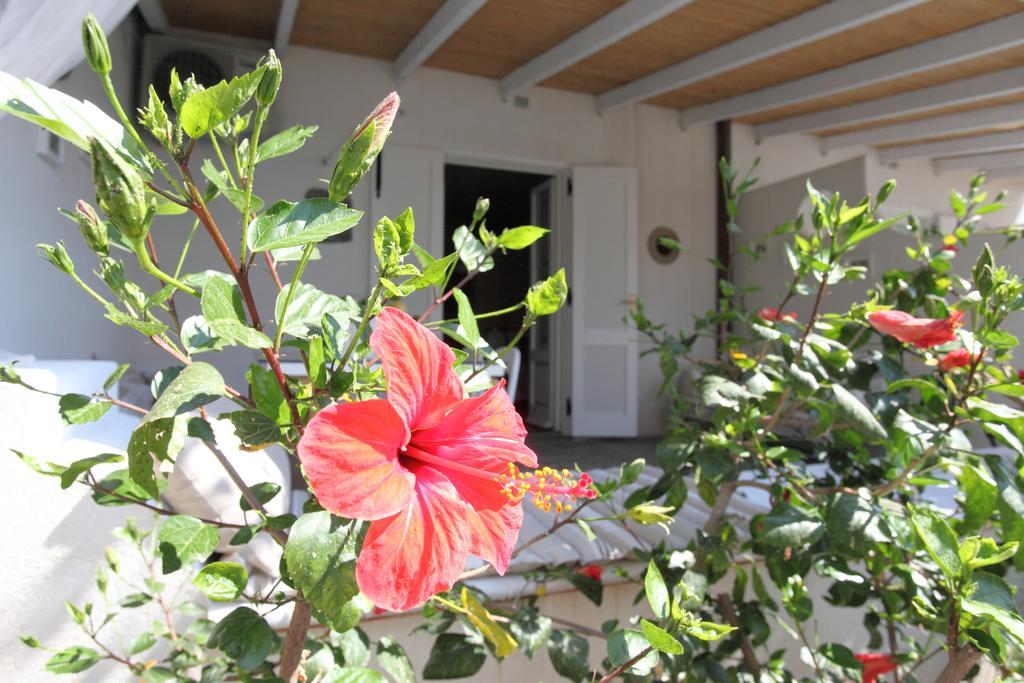 Villa Sea Rose Lipari  Pokój zdjęcie