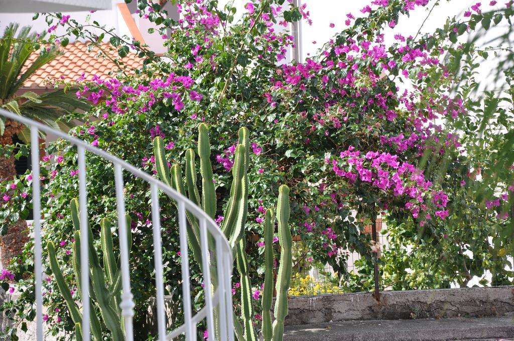 Villa Sea Rose Lipari  Zewnętrze zdjęcie